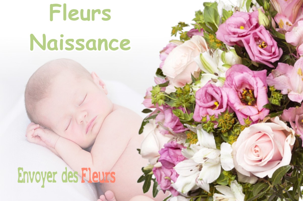 lIVRAISON FLEURS NAISSANCE à SARAN